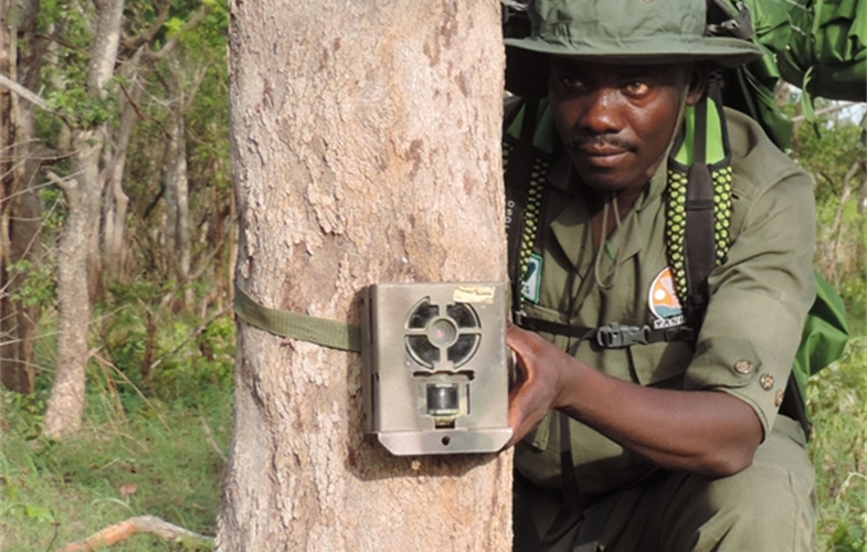 Suleiman Saidu is a Senior Game Guard Ranger at the Yankari Game Reserve in Nigeria